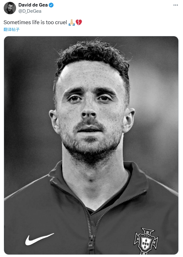 天妒英才！28歲若塔遇難，德赫亞：有時(shí)候生活太殘酷??????