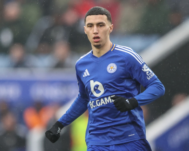 記者：水晶宮為簽埃爾哈努斯提出更高報價，仍被藍狐拒絕